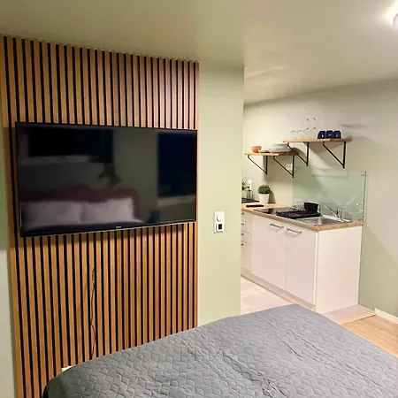 شقة Studio Apartment ترومسو